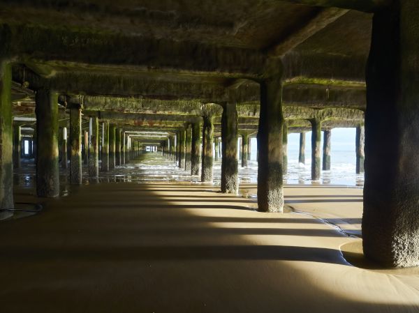Concrete Pier Repair in Tarpon Springs